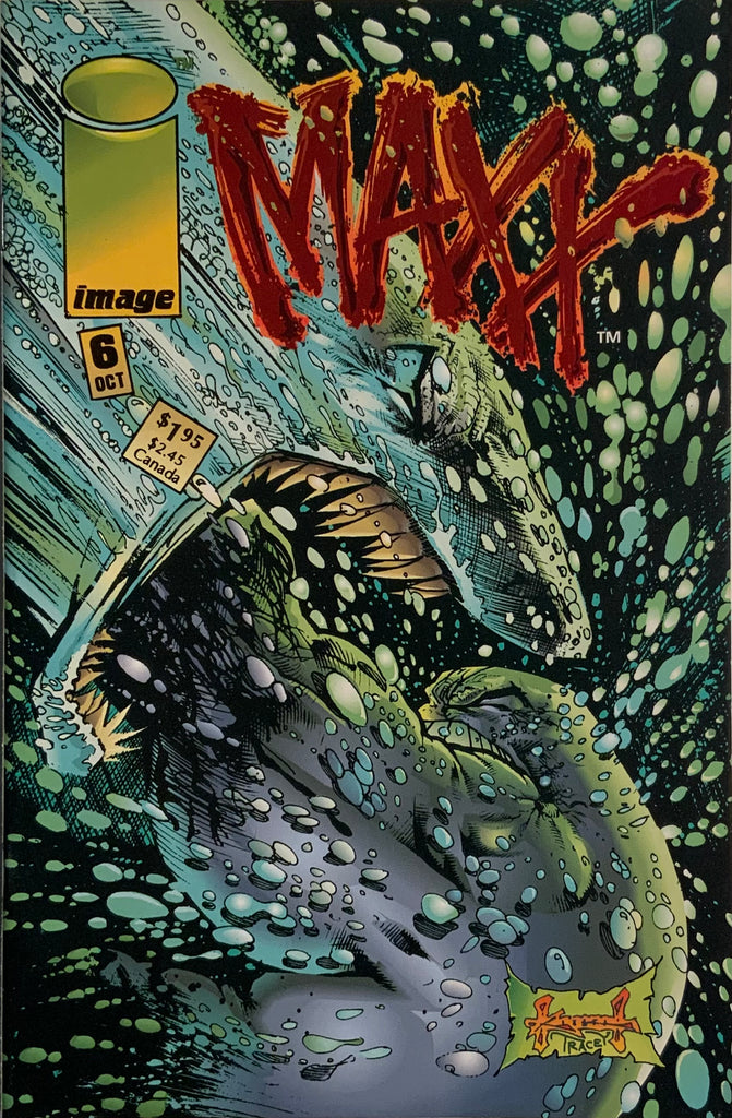 THE MAXX # 6