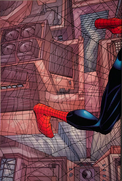 PETER PARKER SPIDER-MAN (1999-2003) # 1