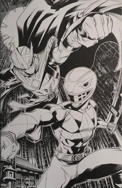 MIGHTY MORPHIN POWER RANGERS / TMNT III # 2 ZONNO 1:10 VARIANT COVER