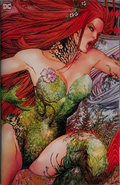 GOTHAM CITY SIRENS # 1 - 4 SET OF FOIL PRISM CONNECTING VARIANT COVERS