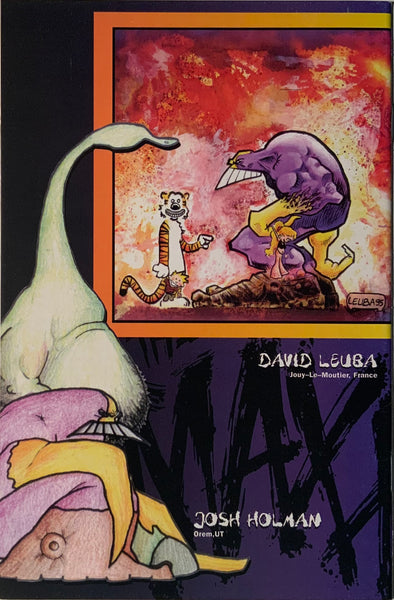 THE MAXX #22