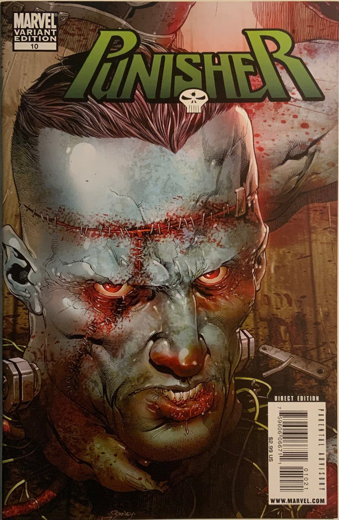 PUNISHER (2009-2010) #10 RANEY 1:15 VARIANT COVER