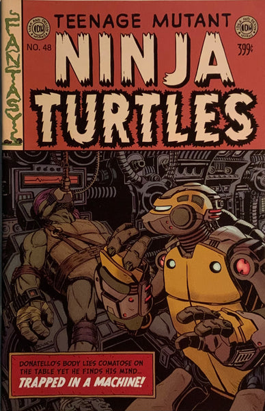 TEENAGE MUTANT NINJA TURTLES (2011) # 48 SUB COVER
