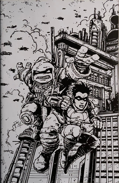 TEENAGE MUTANT NINJA TURTLES THE LAST RONIN TRAINING DAY ONE-SHOT EASTMAN 1:50 VARIANT COVER