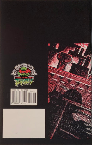 TEENAGE MUTANT NINJA TURTLES # 1 FREE COMIC BOOK DAY 2009