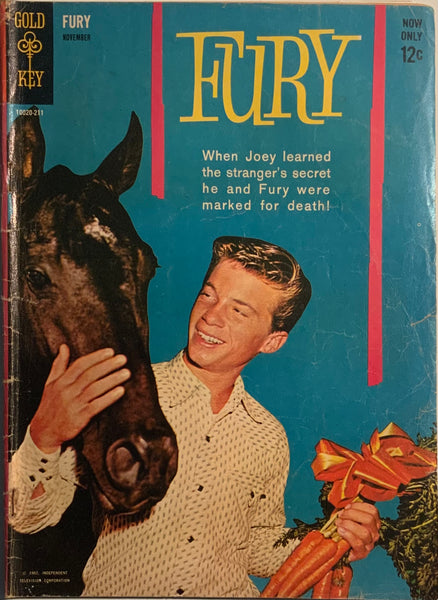 FURY # 1