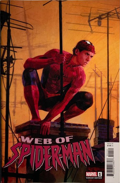 WEB OF SPIDER-MAN (2024) #1 MALEEV VARIANT COVER