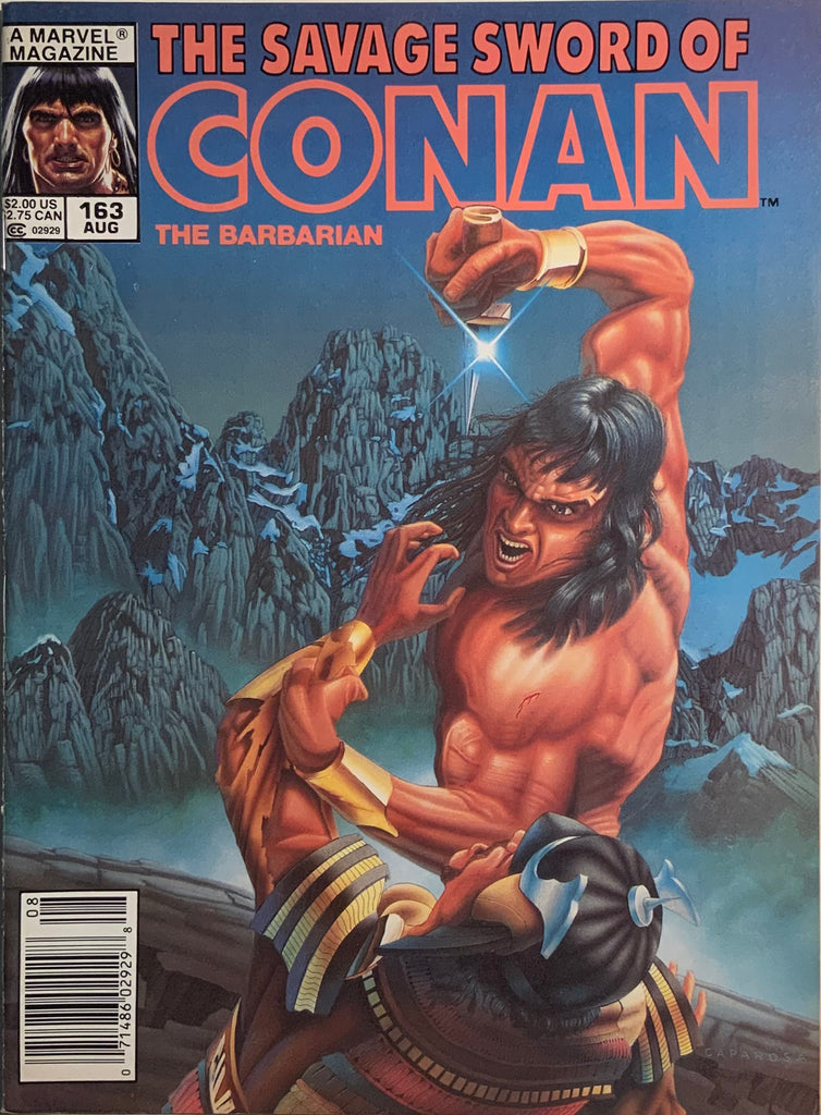 THE SAVAGE SWORD OF CONAN #163