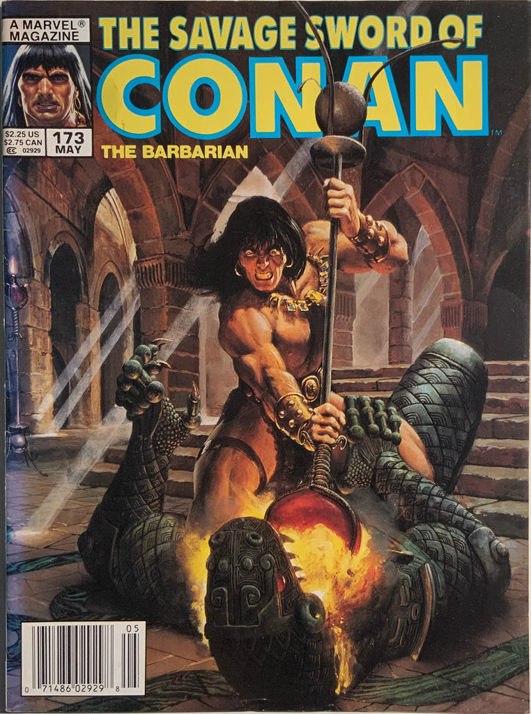 THE SAVAGE SWORD OF CONAN #173