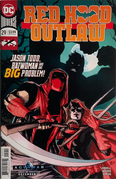 RED HOOD : OUTLAW #29
