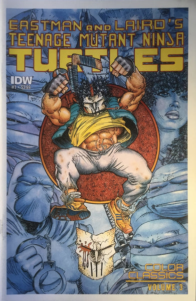 TEENAGE MUTANT NINJA TURTLES COLOR CLASSICS VOLUME 3 # 1