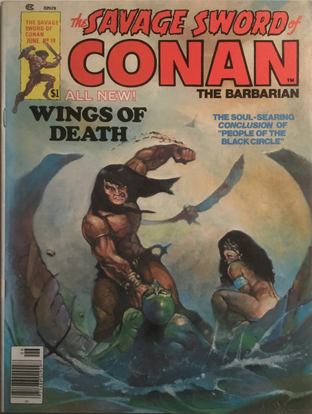THE SAVAGE SWORD OF CONAN # 19