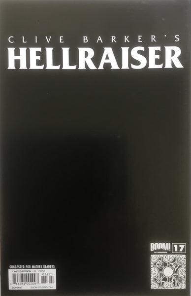 HELLRAISER #17 BRADSTREET VIRGIN COVER (1:10 VARIANT)